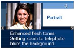 CASIO EXILIM EX-Z200 - ■ Using Scene Information Screen - 1