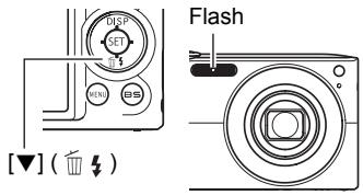 CASIO EXILIM EX-Z200 - Using Flash (Flash) - 1