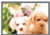 CASIO EXILIM EX-Z200 - Image Size Selection Tips - 2