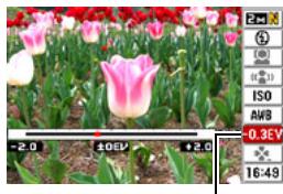 CASIO EXILIM EX-Z22 - Correcting Image Brightness (EV Shift) - 2