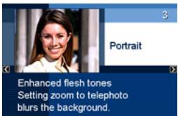 CASIO EXILIM EX-Z22 - Using Scene Information Screen - 1
