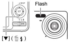 CASIO EXILIM EX-Z22 - Using Flash (Flash) - 1