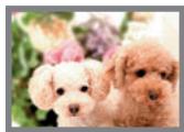 CASIO EXILIM EX-Z22 - Image Size Selection Tips - 1