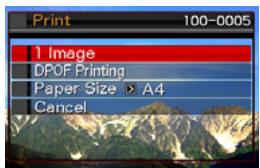 CASIO EXILIM EX-Z22 - To print - 1