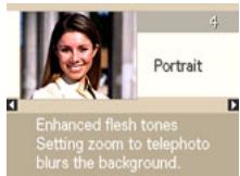 CASIO EXILIM EX-Z25 - Using Scene Information Screen - 1