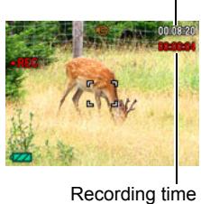 CASIO EXILIM EX-Z25 - Press [●] again to stop recording. - 2