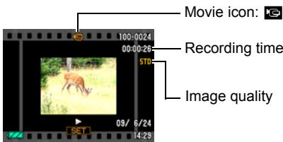 CASIO EXILIM EX-Z25 - Viewing a Movie - 1