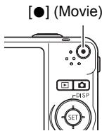 CASIO EXILIM EX-Z25 - Press [●] again to stop recording. - 1