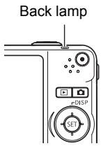 CASIO EXILIM EX-Z25 - Half-press the shutter button to focus the image. - 1