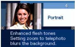 CASIO EXILIM EX-Z280 - ■ Using Scene Information Screen - 1