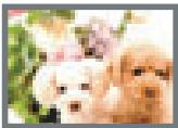 CASIO EXILIM EX-Z280 - Image Size Selection Tips - 2