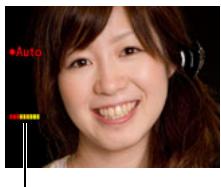CASIO EXILIM EX-Z280 - ■ To use Detect Blur to minimize image blur (Detect Blur) - 3