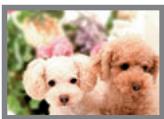 CASIO EXILIM EX-Z280 - Image Size Selection Tips - 1