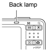 CASIO EXILIM EX-Z29 - Half-press the shutter button to focus the image. - 1