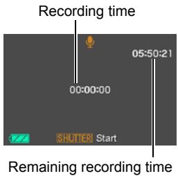 CASIO EXILIM EX-Z29 - Recording Audio Only (Voice Recording) - 1