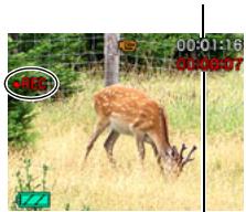 CASIO EXILIM EX-Z29 - Press the shutter button again to stop recording. - 1
