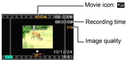 CASIO EXILIM EX-Z29 - Viewing a Movie - 1