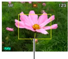 CASIO EXILIM EX-Z29 - To focus with manual focus - 1