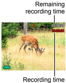 CASIO EXILIM EX-Z300 - Press [●] again to stop recording. - 1