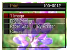 CASIO EXILIM EX-Z300 - ■ To print - 1