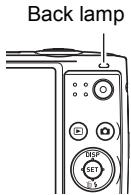 CASIO EXILIM EX-Z300 - Half-press the shutter button to focus the image. - 1