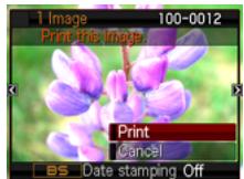 CASIO EXILIM EX-Z300 - ■ To print - 2