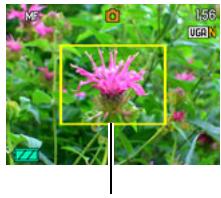 CASIO EXILIM EX-Z33 - To focus with manual focus - 1