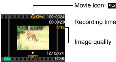 CASIO EXILIM EX-Z33 - Viewing a Movie - 1
