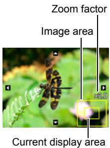 CASIO EXILIM EX-Z33 - Zooming an On-screen Image - 1