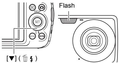 CASIO EXILIM EX-Z330 - Using Flash (Flash) - 1