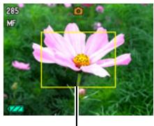 CASIO EXILIM EX-Z330 - To focus with manual focus - 1