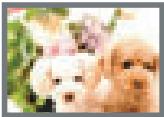 CASIO EXILIM EX-Z330 - Image Size Selection Tips - 2