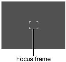 CASIO EXILIM EX-Z330 - Press the shutter button the rest of the way down. - 2