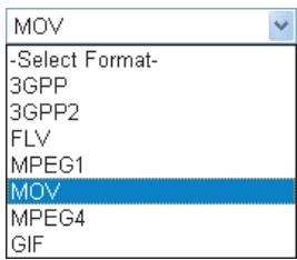 CASIO EXILIM EX-Z400 - Movie Format and Quality Settings - 2