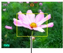 CASIO EXILIM EX-Z400 - To focus with manual focus - 1