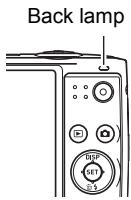 CASIO EXILIM EX-Z400 - Half-press the shutter button to focus the image. - 1