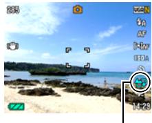 CASIO EXILIM EX-Z550 - Press [SET]. - 1