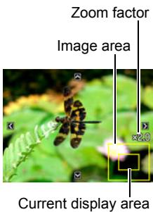 CASIO EXILIM EX-Z550 - Zooming an On-screen Image - 1
