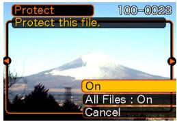 CASIO EXILIM EX-Z600 - To protect a single file - 1