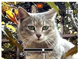 CASIO EXILIM EX-Z600 - Using Manual Focus - 2