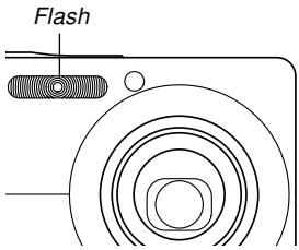 CASIO EXILIM EX-Z600 - ■ Flash Precautions - 1