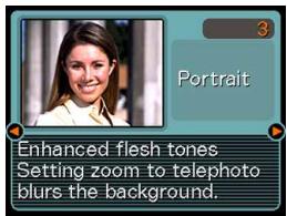 CASIO EXILIM EX-Z600 - Displaying Sample Scenes Individually - 1