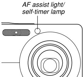 CASIO EXILIM EX-Z600 - Press the shutter button to record the image. - 1