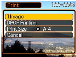 CASIO EXILIM EX-Z600 - PRINTING IMAGES - 1