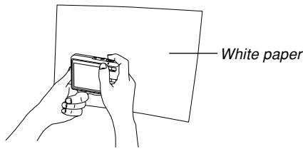 CASIO EXILIM EX-Z600 - Use [▲] and [▼] to select "Manual". - 2