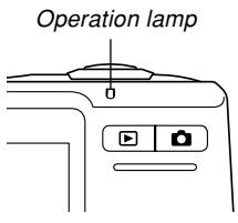 CASIO EXILIM EX-Z600 - Indicator Lamp Reference - 1