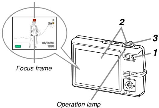 CASIO EXILIM EX-Z600 - To record an image - 1