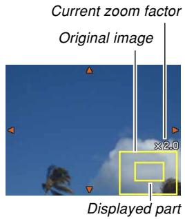 CASIO EXILIM EX-Z600 - Zooming the Display Image - 1