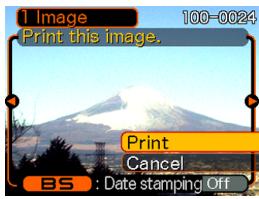 CASIO EXILIM EX-Z600 - PRINTING IMAGES - 2