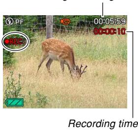 CASIO EXILIM EX-Z600 - Recording a Movie - 1
